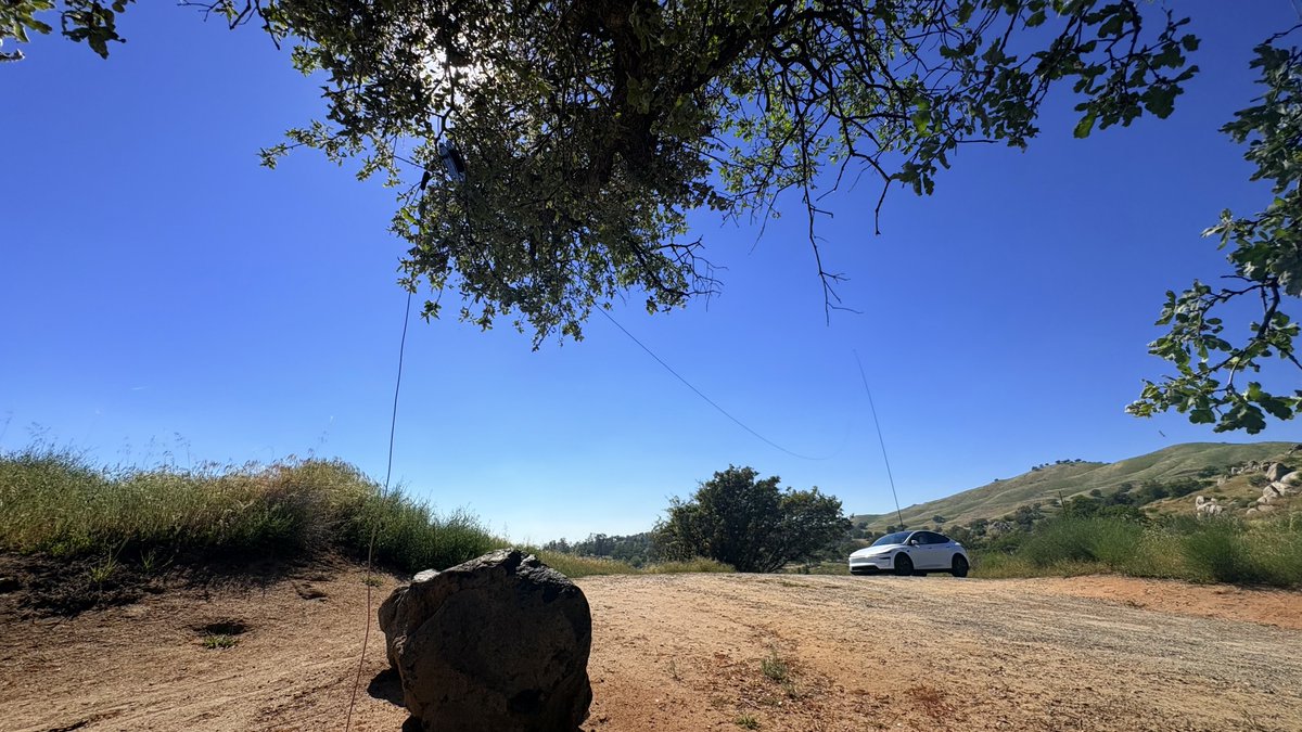 Pat Jensen tweet media