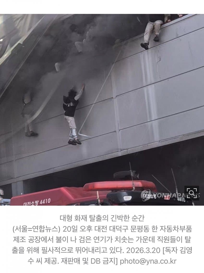 엘리제 tweet media