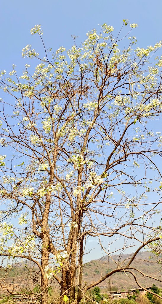 ℍ𝕚𝕥esh tweet media