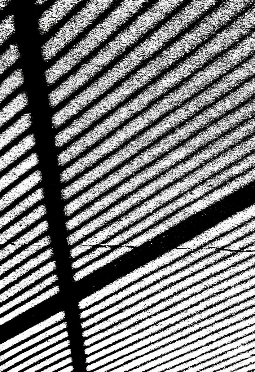 Brett Ashton tweet media