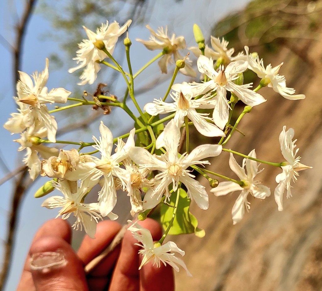 ℍ𝕚𝕥esh tweet media