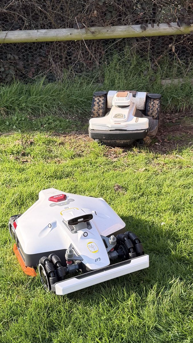 Mister Milo tweet media