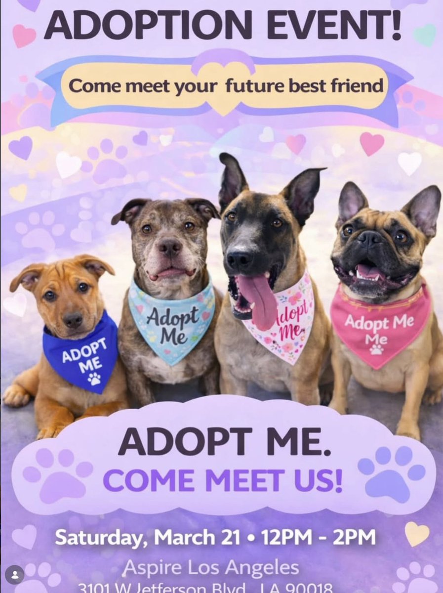 JoeyTuccio tweet media