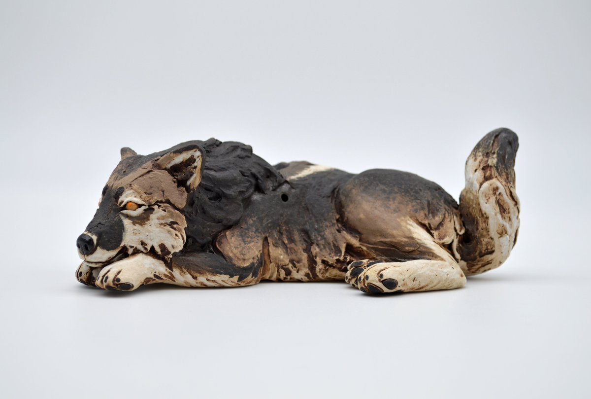 Luke 🐾 tweet media