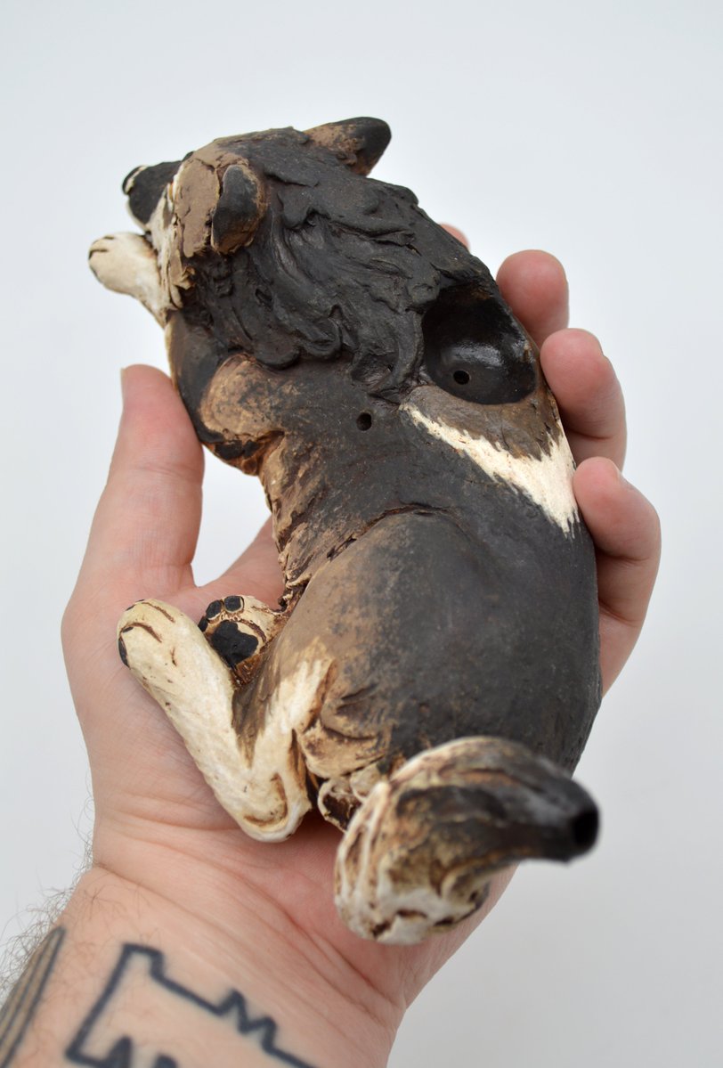 Luke 🐾 tweet media