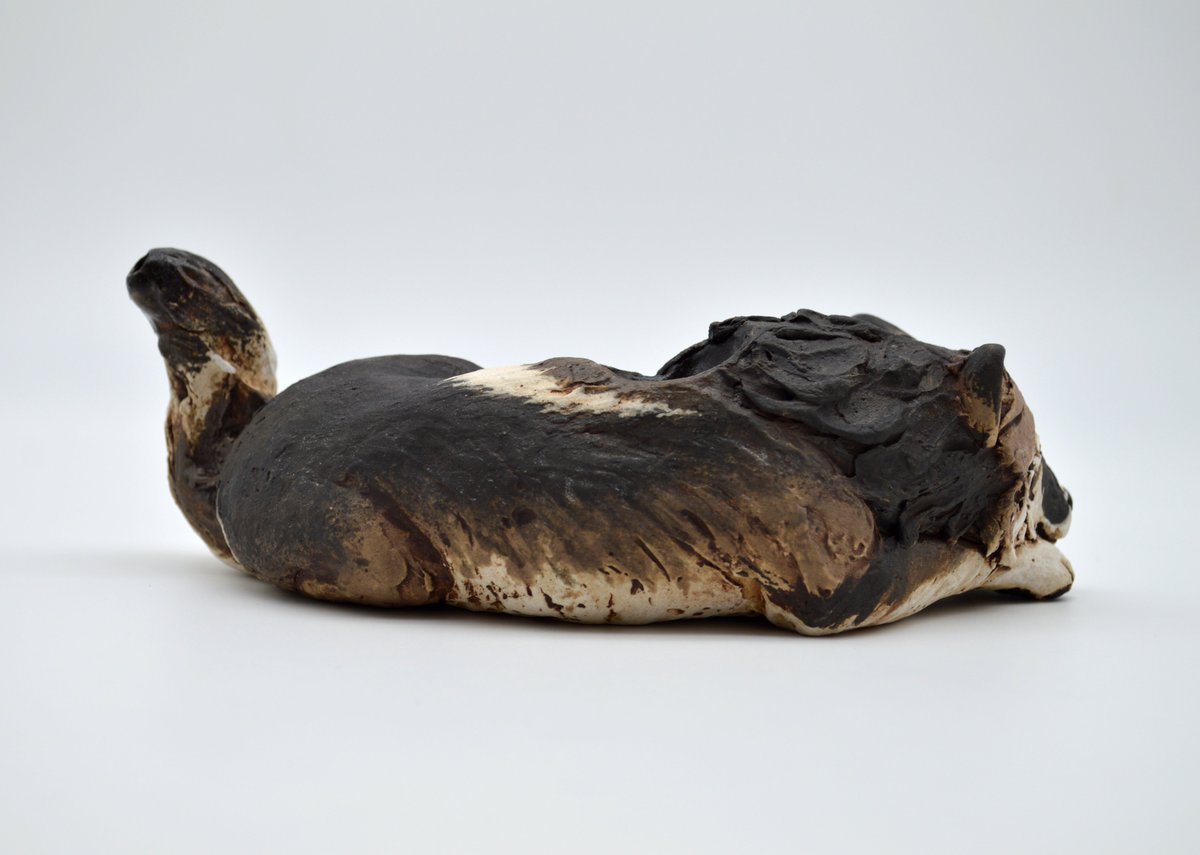 Luke 🐾 tweet media