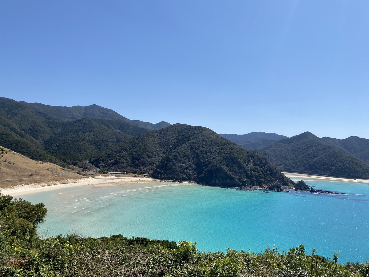 Ceui@歌えてしあわせい🌿ありがとう tweet media