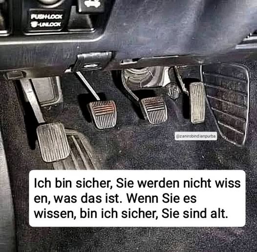 Christel Hanauer tweet media