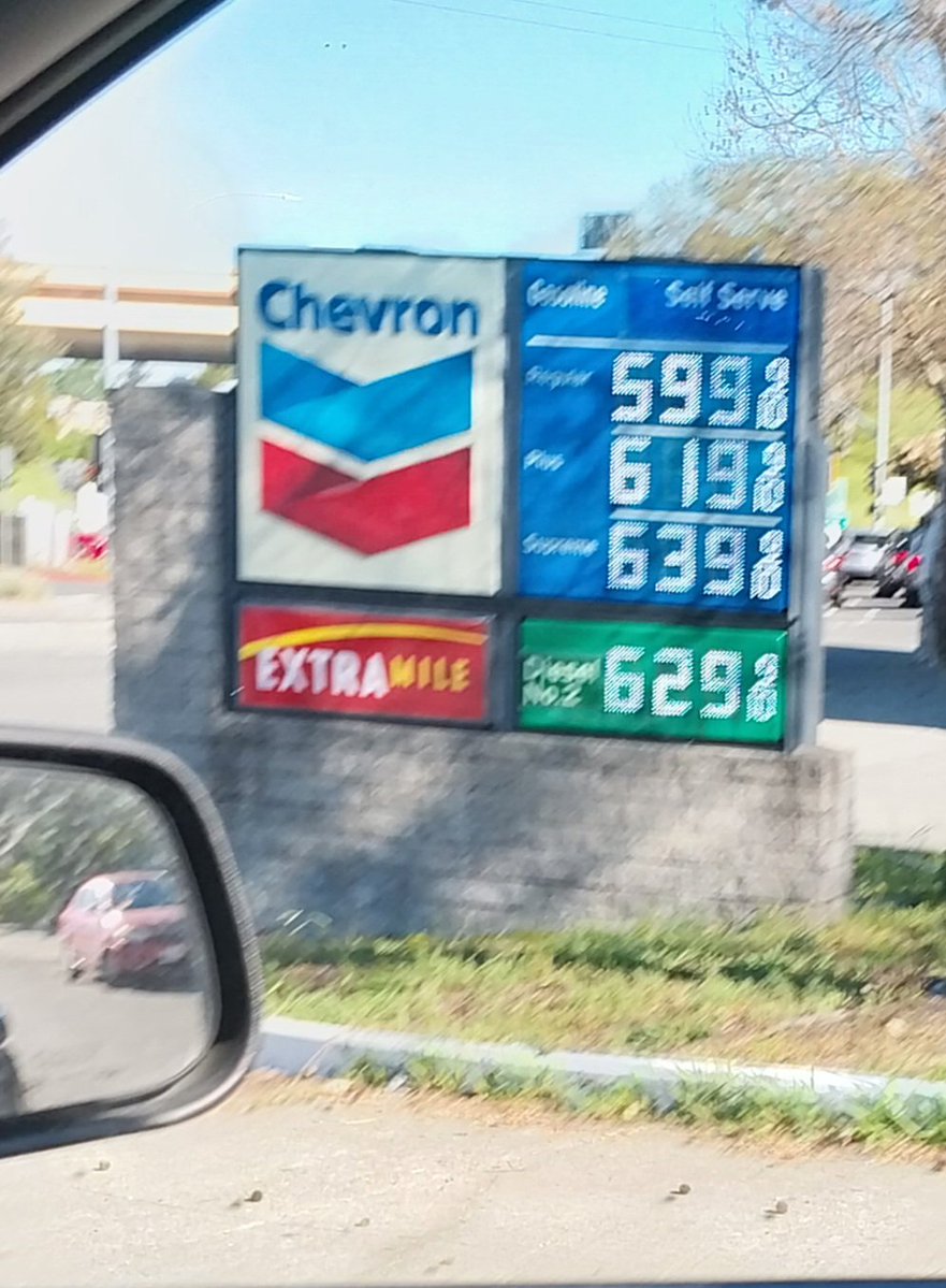 Fellarina Bavovna tweet media