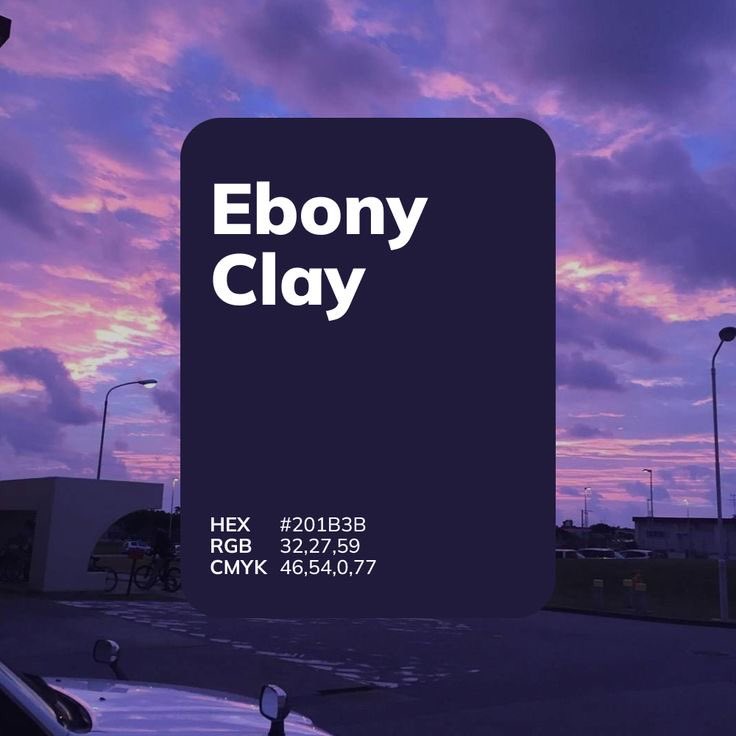 violet✧*。 tweet media