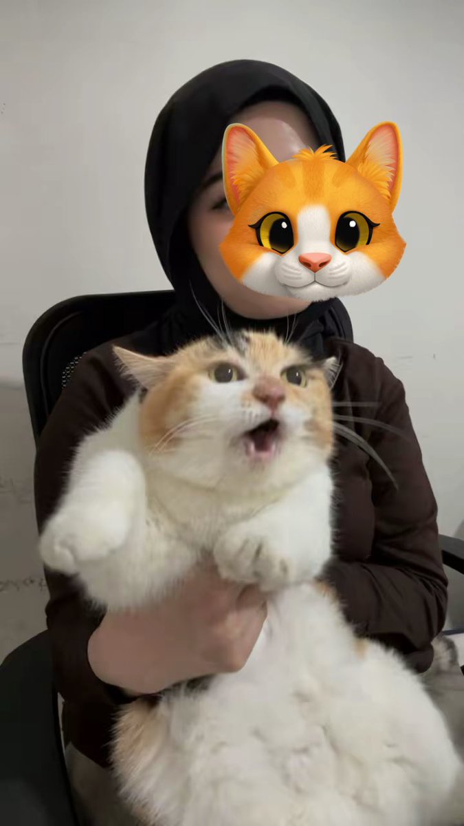 Jaklingko Cat | 📌 Open Pet Commission tweet media