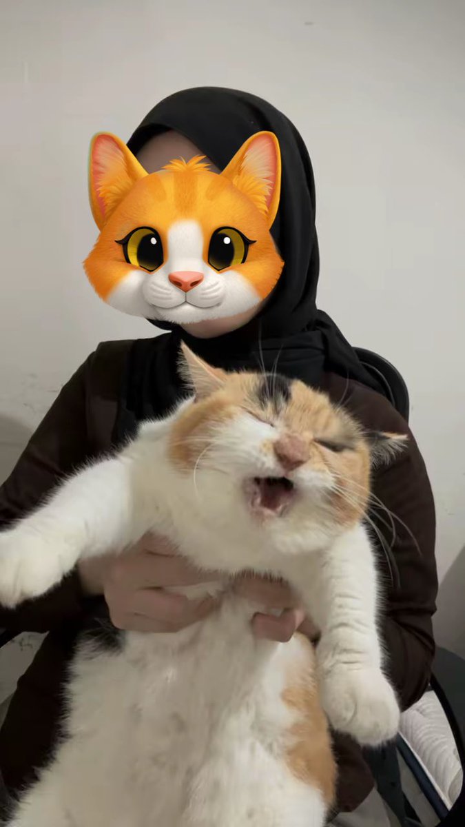 Jaklingko Cat | 📌 Open Pet Commission tweet media