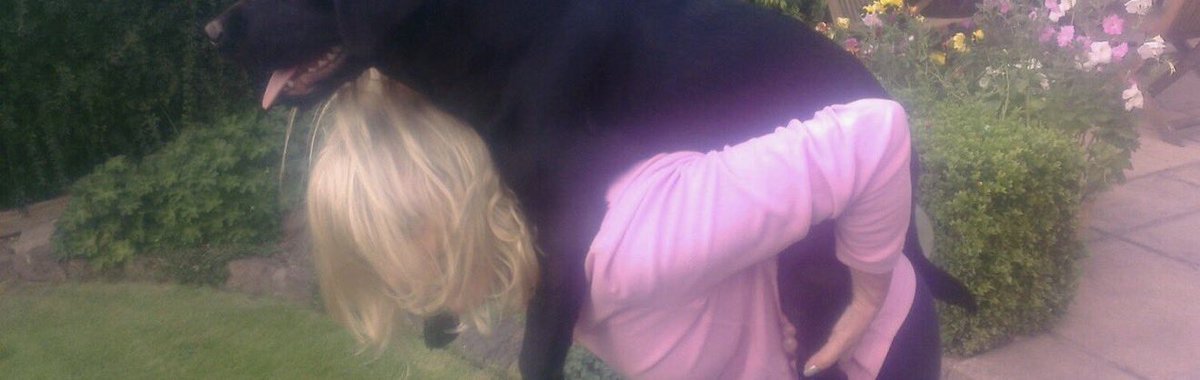 Ben Collins tweet media