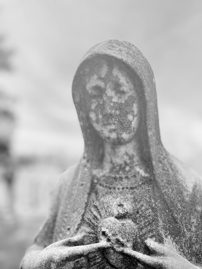 𝕸𝖔𝖗𝖇𝖎𝖉𖤐𝕲𝖓𝖔𝖘𝖙𝖎𝖘𝖐 - ᛗᛟᚱᛒᛁᛞ ᚷᚾᛟᛊᛏᛁᛊᚲ tweet media