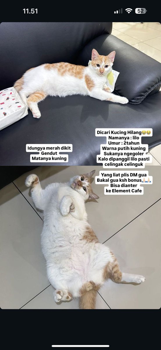 jastip taobao 1688 xianyu | cv rmb alipay wepay tweet media