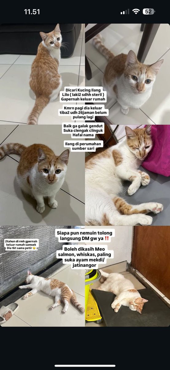 jastip taobao 1688 xianyu | cv rmb alipay wepay tweet media