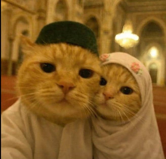 Sebago AlAdaby tweet media