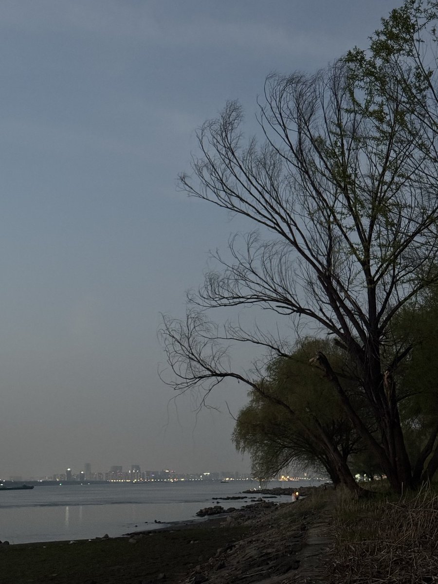 🐦‍⬛ tweet media