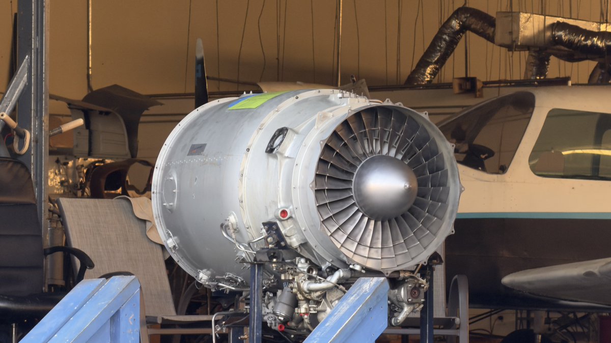 Phoenix𝕏 tweet media