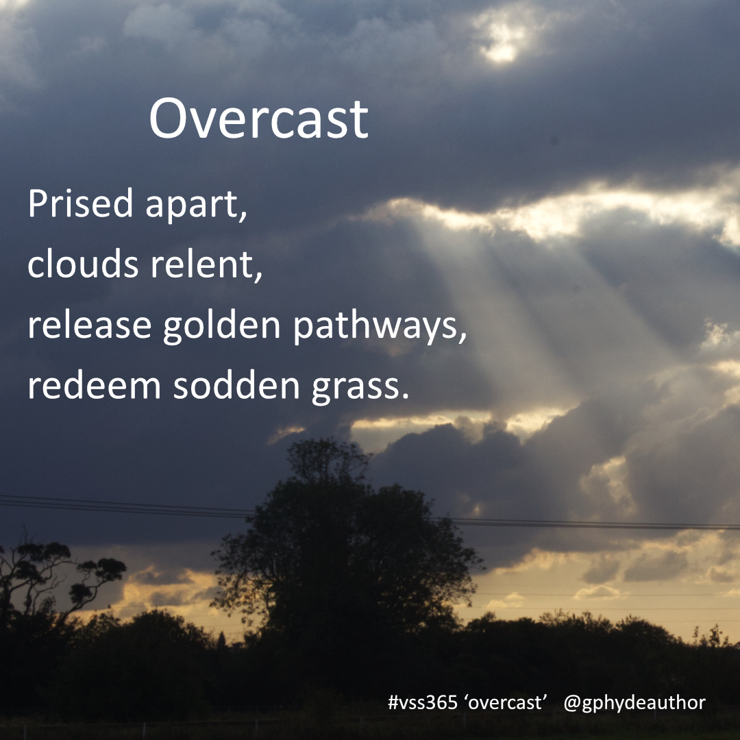 gphydeauthor's tweet image. Here's my offering for the theme of #overcast – thanks to Prof Fox @darkxfer our #vss365 host. Image my own.

#vsspoem #poet #poetrycommunity