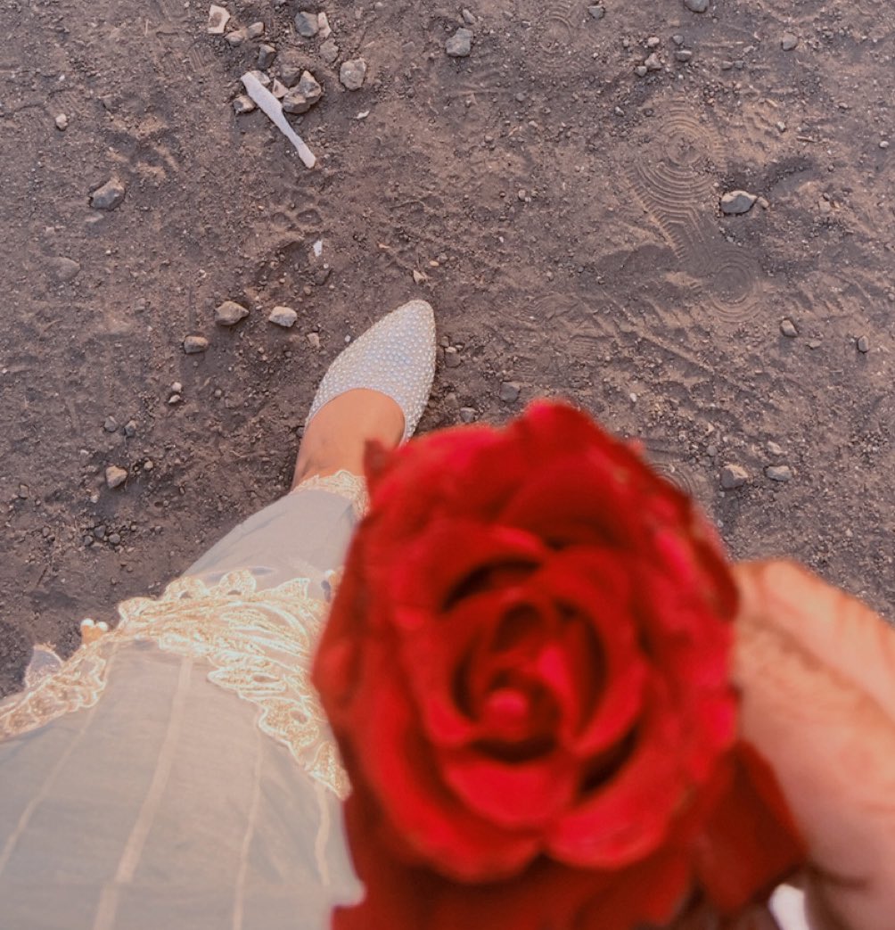 Honeyy beee tweet media