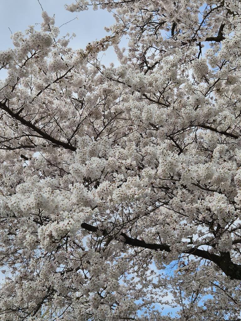 Europe 🇪🇺 tweet media