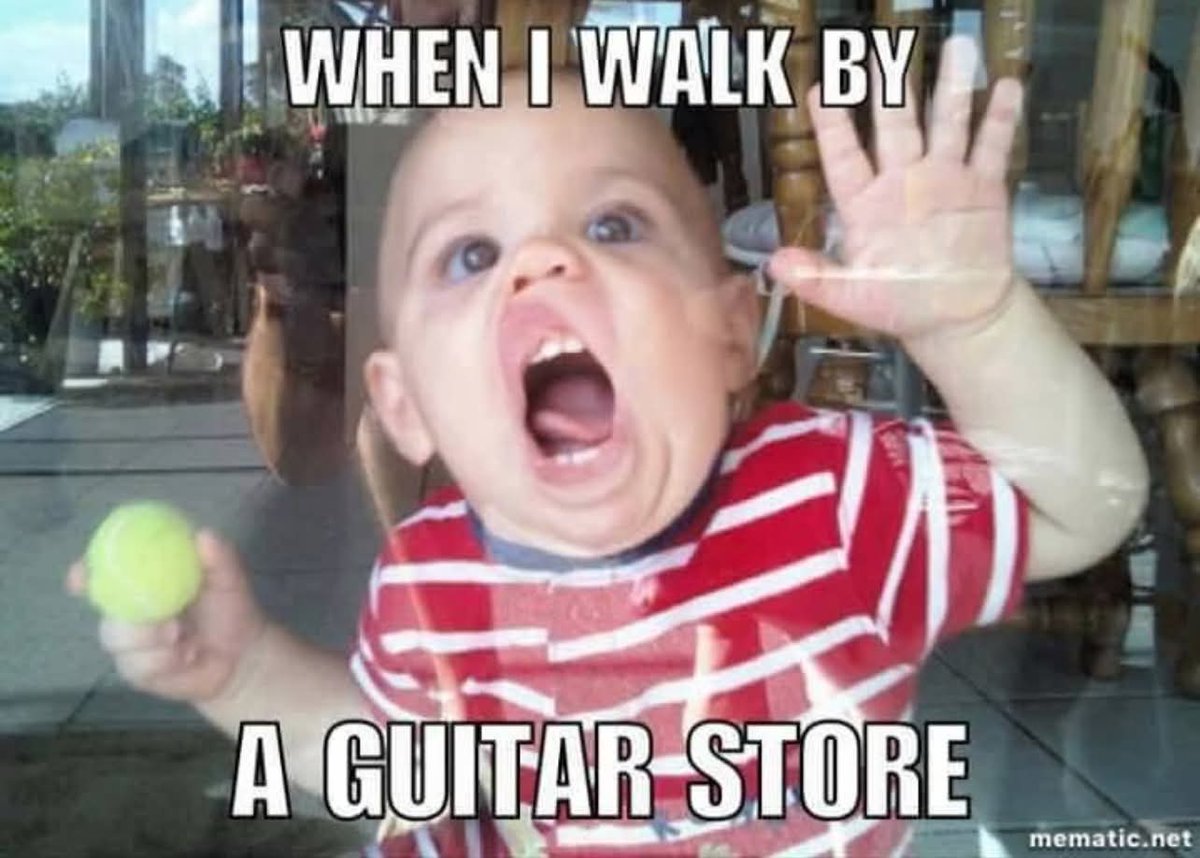 lisa matthews tweet media