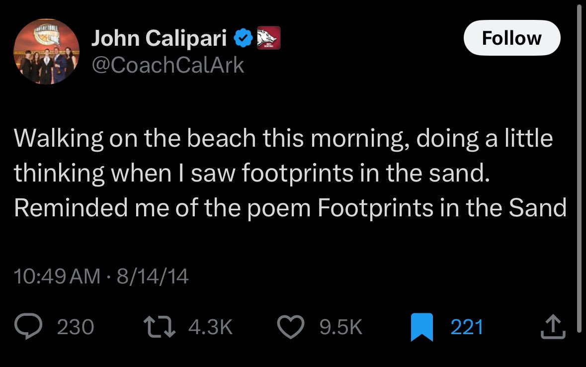 Steph Noh tweet media