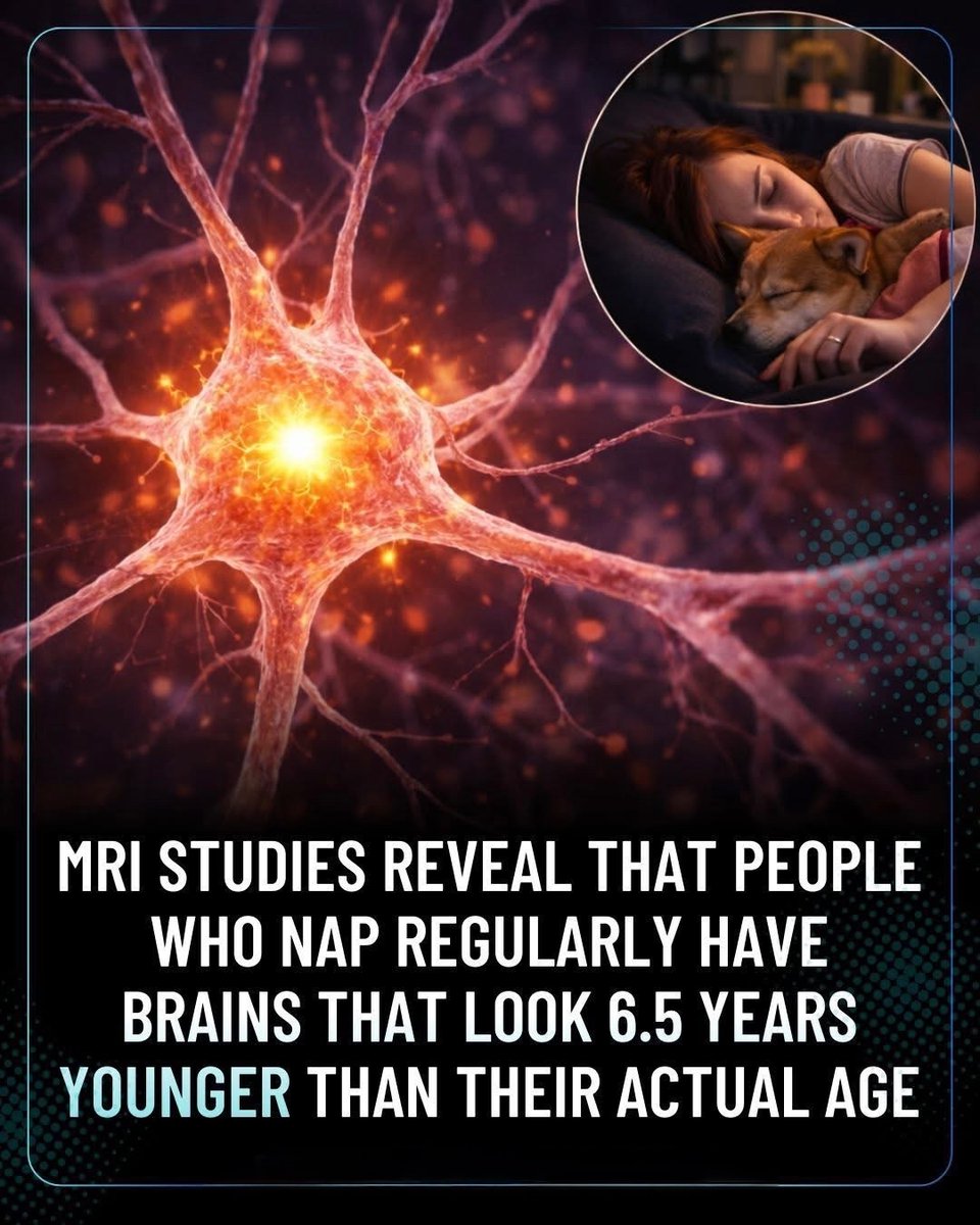 Next Science tweet media