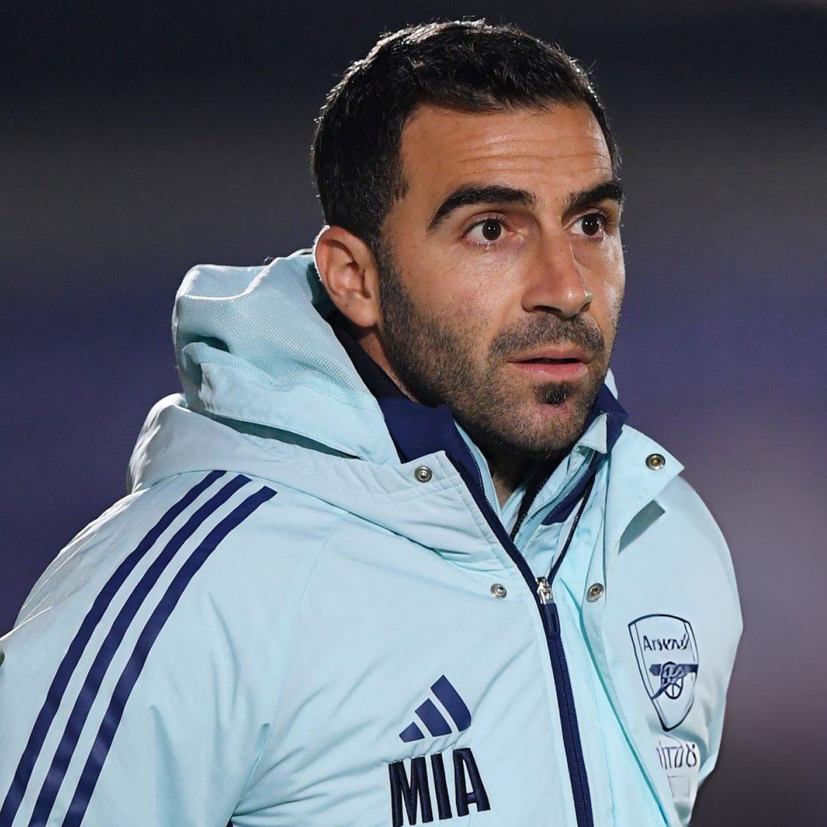 DailyAFC tweet media