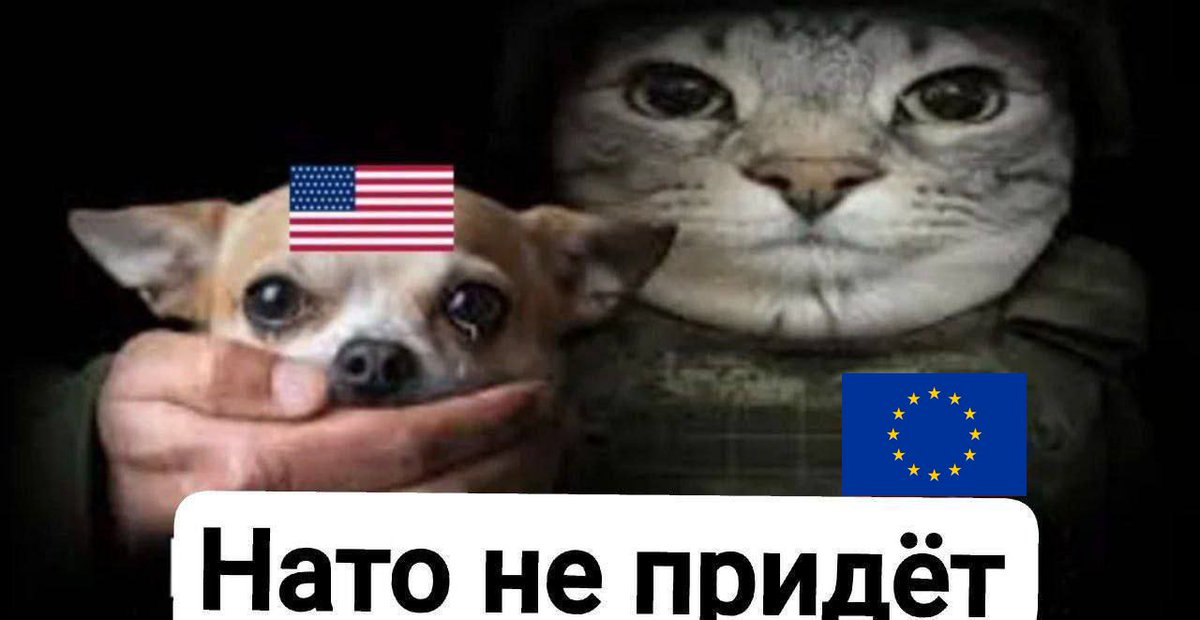 Гиперборей tweet media