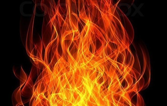 Diggers.News tweet media