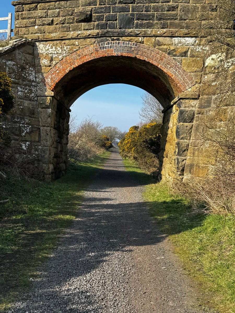 NorthernTankServices tweet media