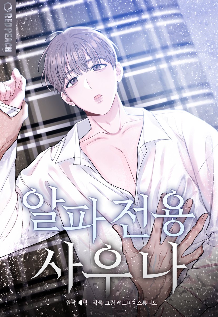 페로체 tweet media