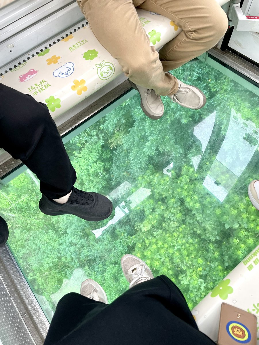 ひちゃ(hicha) tweet media