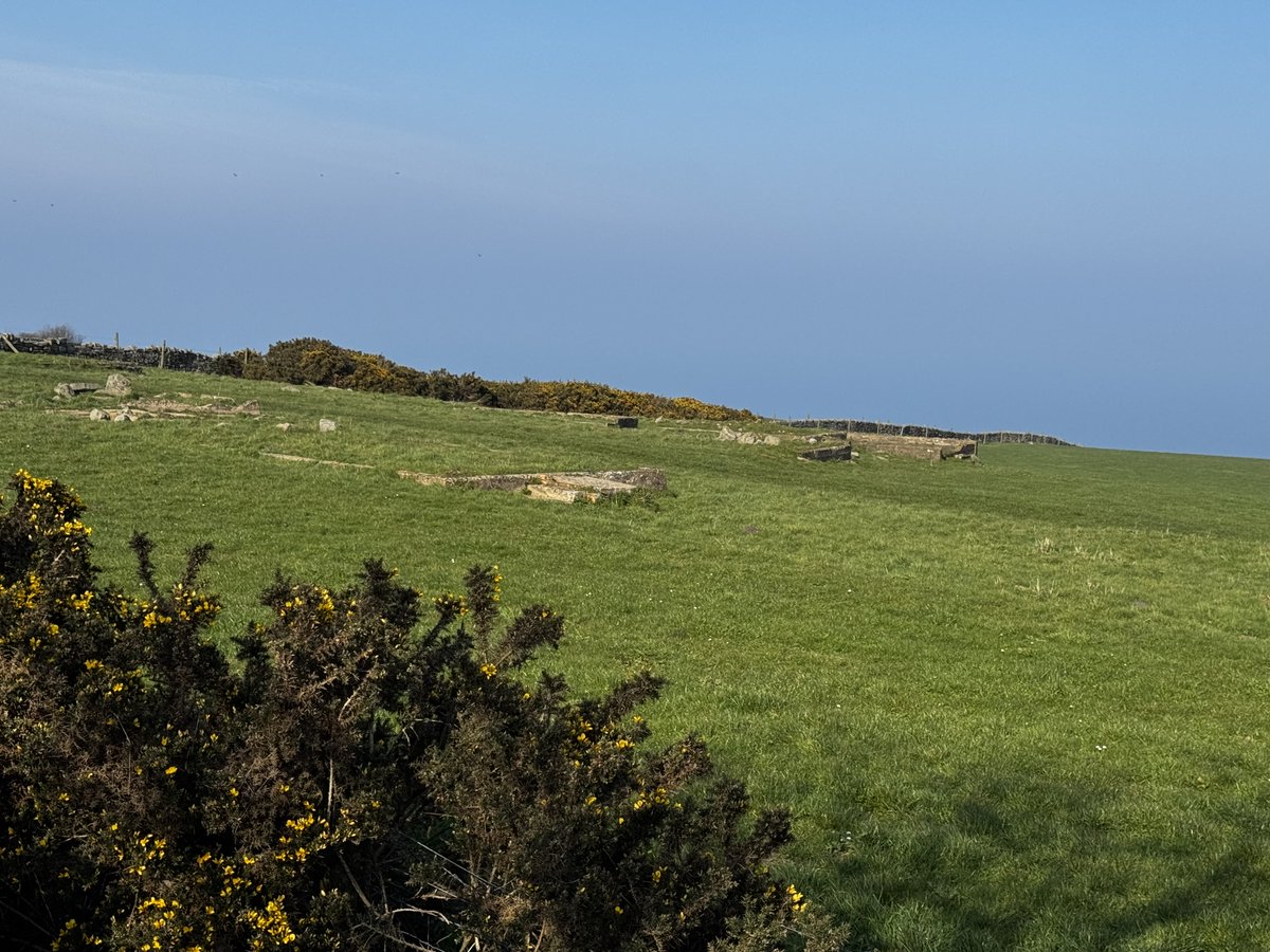 NorthernTankServices tweet media