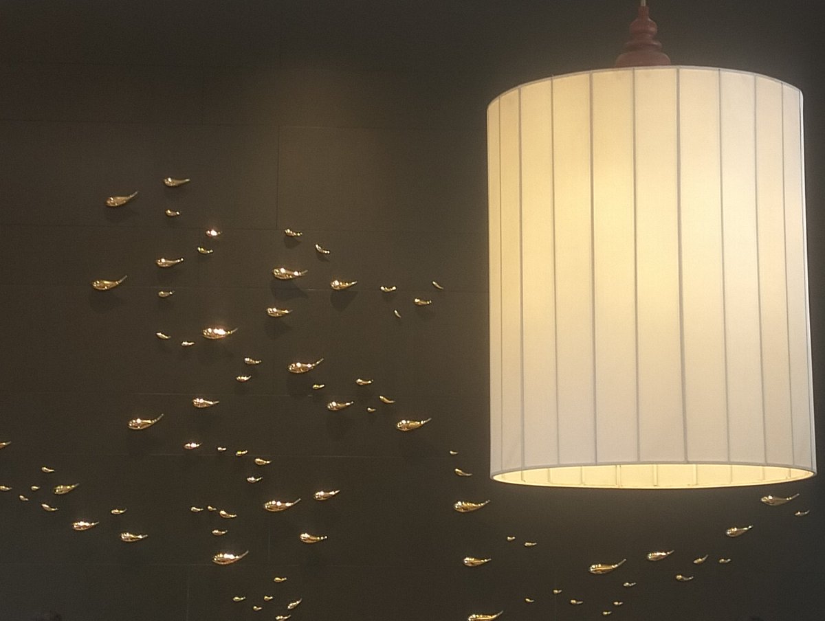 𝕊 𝕋 tweet media