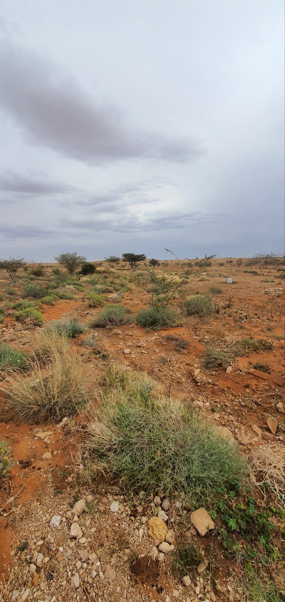 عبدالسلام السلمان tweet media