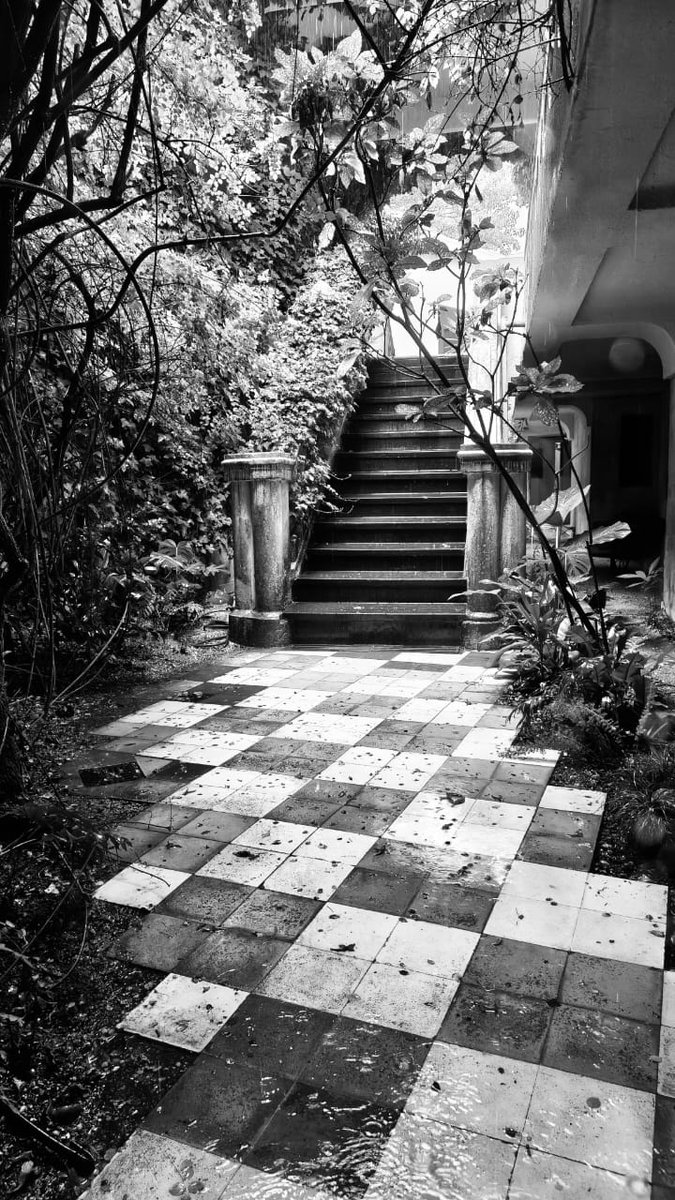 Viejo Hotel Ostende tweet media