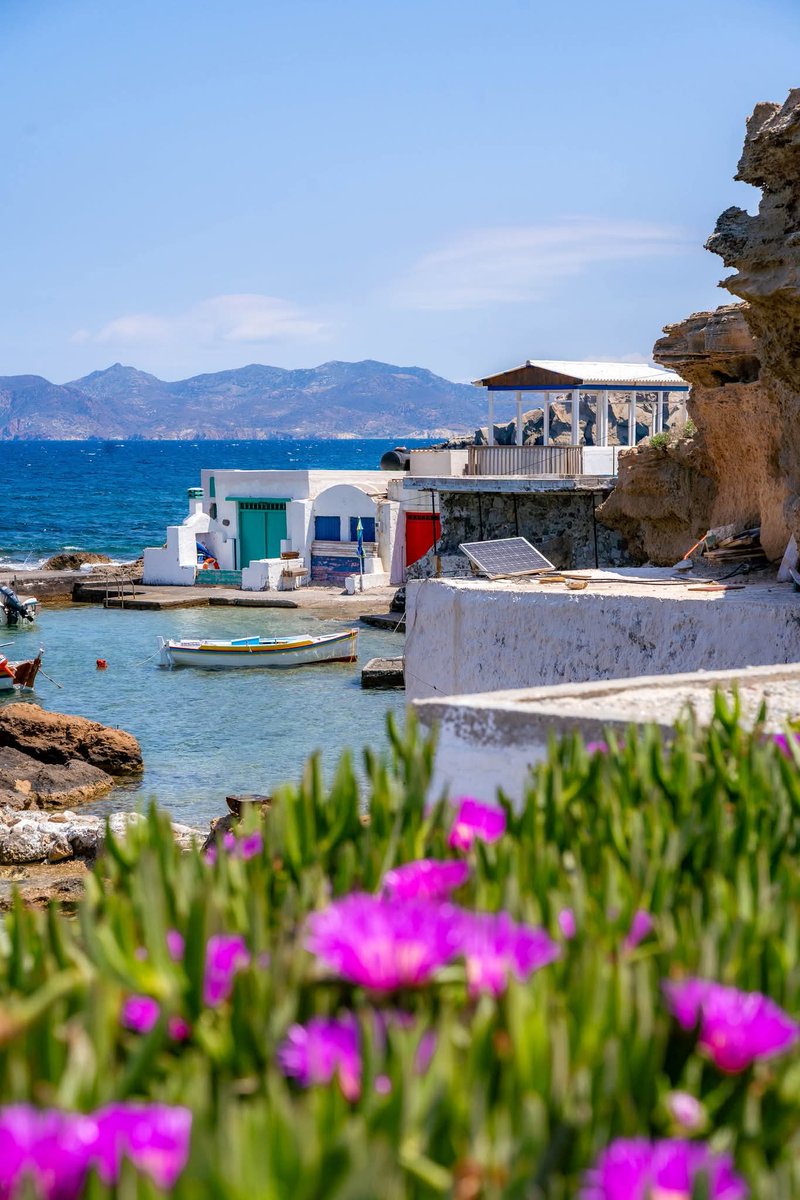 WanderLens tweet media