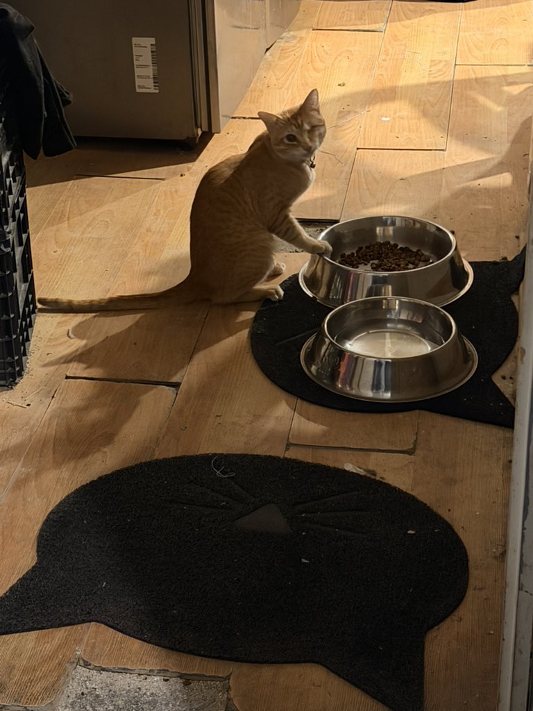 . tweet media