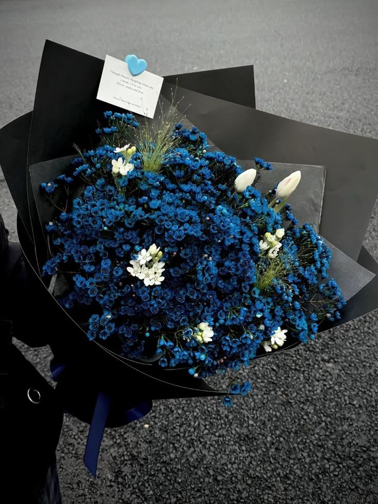 𝓣𝓱𝓮𝓑𝓵𝓸𝓼𝓼𝓸𝓶𝓢𝓽𝓾𝓭𝓲𝓸 tweet media