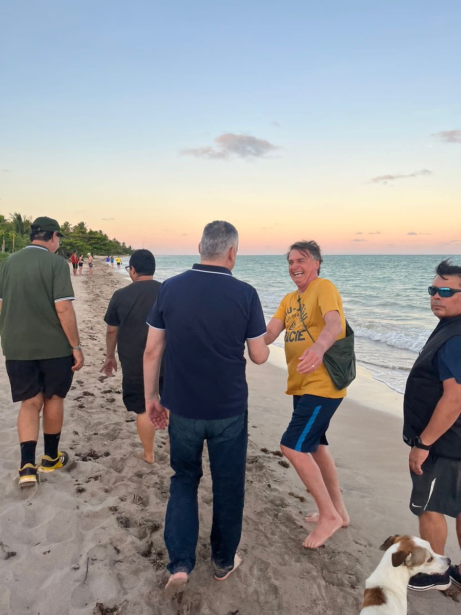 Alfredo Gaspar tweet media