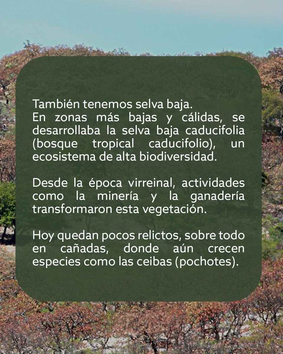 Instituto Municipal de Planeación de León, Gto. tweet media