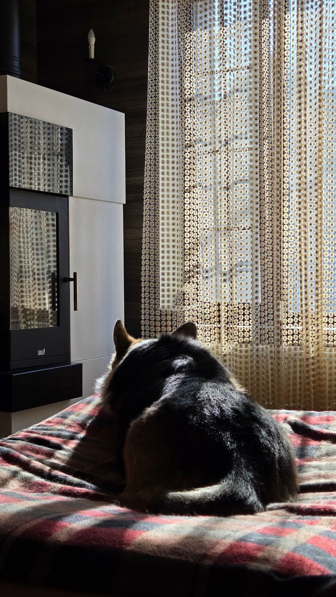 Alina Morrele 🖤 tweet media