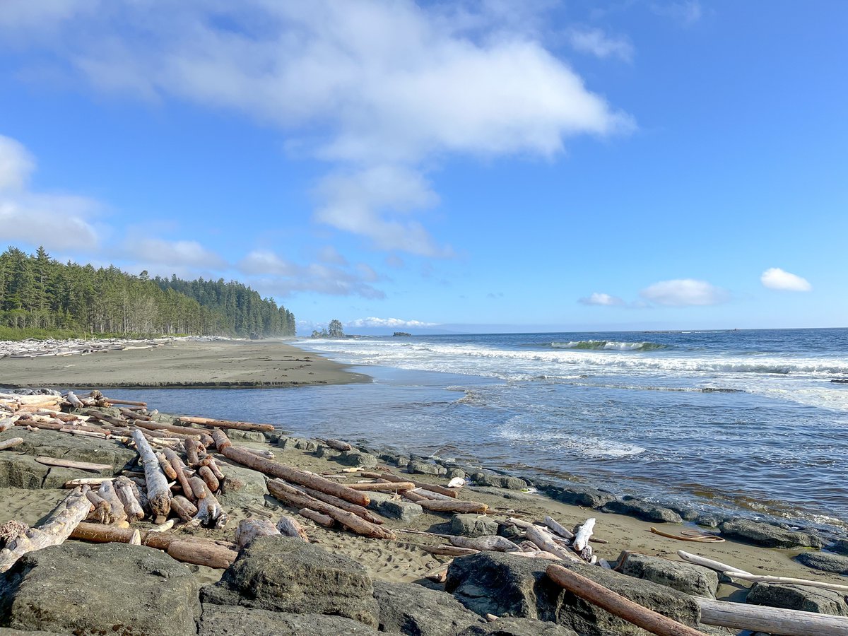 coastalbliss's tweet image. Few places combine rainforest and ocean like Vancouver Island’s outer coast. The West Coast Trail, Cape Scott, and Nootka Island Trail take hikers through some of BC’s most beautiful coastal wilderness. 🌲🌊 #BackpackingAdventure f.mtr.cool/tkzzbjmpga