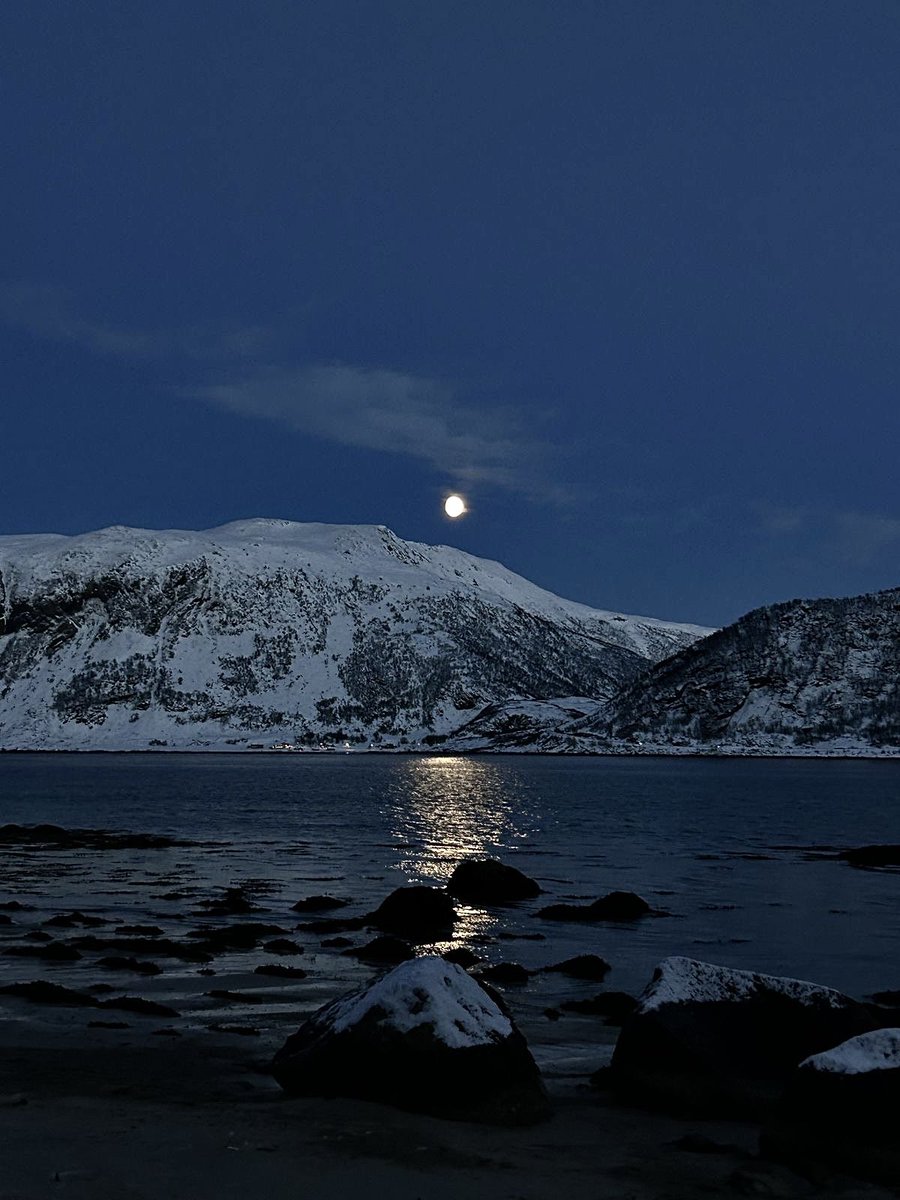 Gn Homies 🌙

Time to recharge

What if content didn’t just exist for the moment but actually evolved over time?

<a href="/permacastapp/">Permacast.app</a> is pushing that exact shift by turning media into structured, permanent assets on the permaweb. Instead of scattered posts and lost context, everything