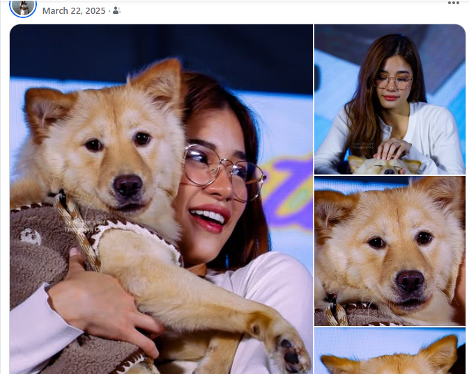 mariyaaa ᥫ᭡ tweet media