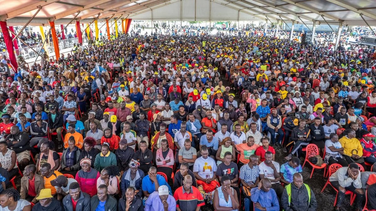 Seth Olale tweet media