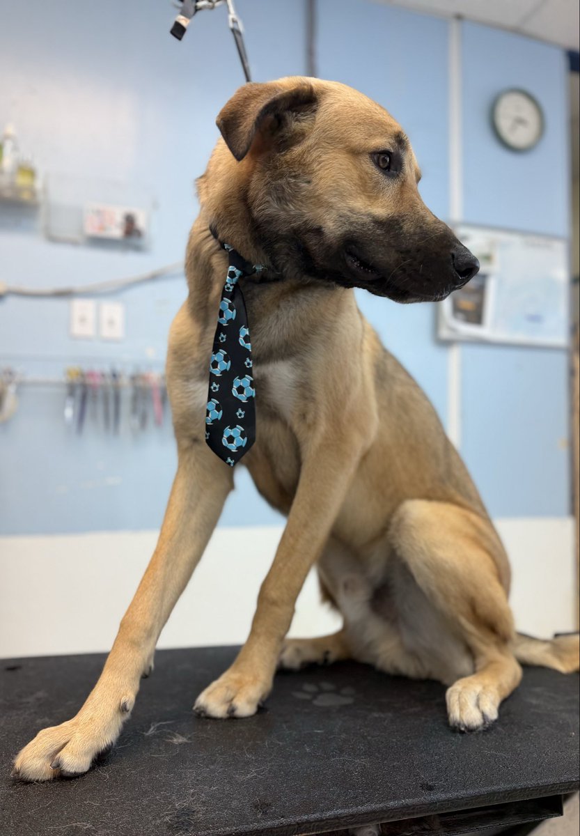 River THE Bard| TTRPG Vtuber❤️‍🔥 tweet media